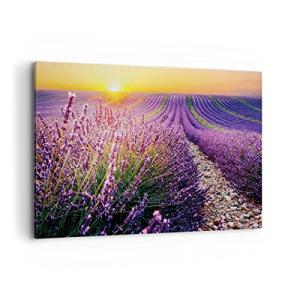 Cuadros Decoracion Salon Campo Lavanda Sol Lienzos decorati…
