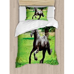 ABAKUHAUS Animal Funda Nórdica, Caballo frisio, Decorativo…