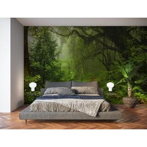 Fotomural Vinilo Pared Selva | Varias Medidas 200x150cm | I…