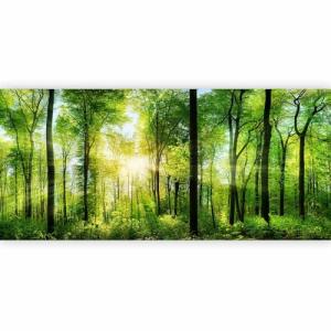murando Fotomurales autoadhesivo Bosque 539x250 cm Papel Pi…