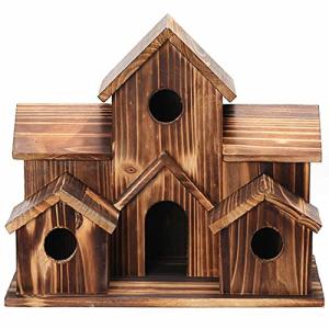 Casa de pájaros colgante de madera para exteriores, 6 aguje…
