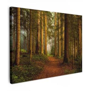 MuchoWow© Cuadros Decoracion Salon Modernos 70x50 cm Pintur…
