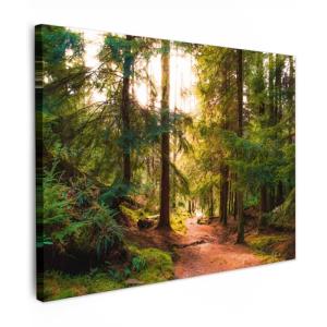 MuchoWow© Cuadros Decoracion Salon Modernos 40x30 cm Pintur…