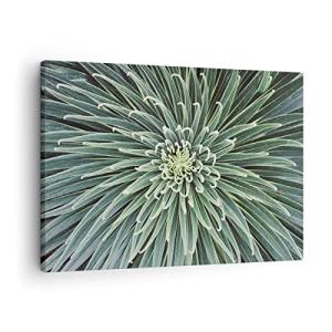 ARTTOR Lienzos decorativos Agave Verde Planta Cuadro Sobre…