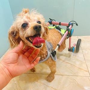 Genérico Silla de Ruedas de 2 Ruedas para Perros con discap…