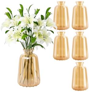 Ezvsevuo 6 Piezas Jarrones de Cristal para Decoración de Me…