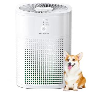 MORENTO Purificador de aire para dormitorio con aromaterapi…