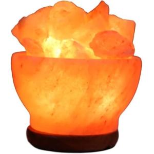 ZenGlo Mini cuenco de lámpara de sal del Himalaya con trozo…