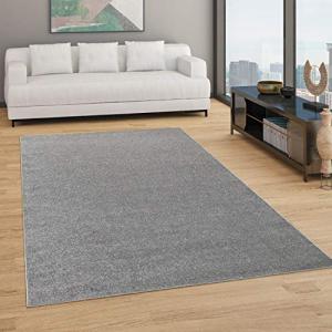 Paco Home Alfombra Salón Color Liso Discreta Moderna Pelo C…