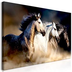 murando - Cuadro en Lienzo Caballo 120x60 cm impresión en m…