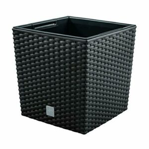 Maceta Rato 7 litros con cubilete para plantar en color ant…