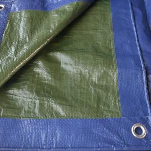 TENAX Cover All Toldo con Ojales 4,00x6 m Verde-Azul 90 g/m…