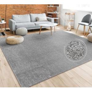 Paco Home Alfombra Salón Color Liso Discreta Moderna Pelo C…