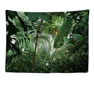 Ulticool - Appeso a Parete Decoración Casa - Bosque tropica…