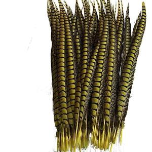Flecos de plumas, 5 piezas de plumas para mujer, para manua…