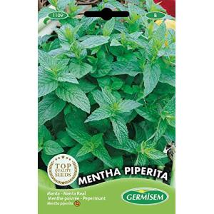 Germisem Mentha Piperita Semillas de Menta 0.2 g