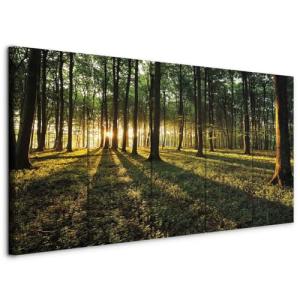 murando Cuadro en Lienzo Bosque 225x90 cm Impresión de 5 Pi…