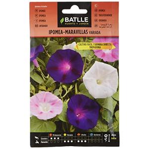Semillas Batlle Ipomea-Maravillas trepadora vda.