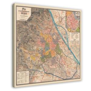 BFTIUTG Póster de mapa de Viena de 1895 para decoración de…