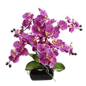 Flor artificial de orquídea mariposa con hojas y raíces aér…
