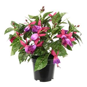 Flair Flower Planta Decorativa Artificial Fucsia en Maceta,…