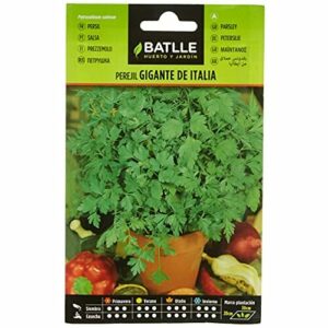 Semillas Batlle Perejil GIGANTE DE ITALIA