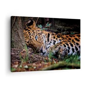 ARTTOR Lienzos decorativos Leopardo Retrato Jaguar Cuadro S…