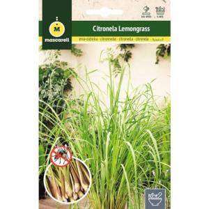 Mascarell Semillas, Citronela (Lemongrass), Semillas para H…