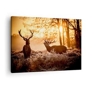 ARTTOR Lienzos decorativos Deer brezo animal Cuadro Sobre L…