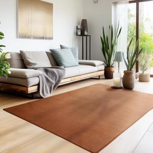 HomebyHome Alfombra Salon de Pelo Corto 200x300 (200 x 290…