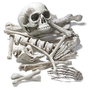 Bolsa de Huesos y Cráneo de Esqueleto de 18 Piezas para la…