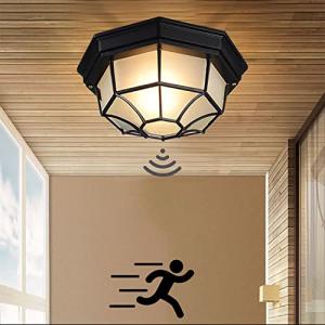 Retro LED lámpara de techo con sensor de movimiento,IP54 im…