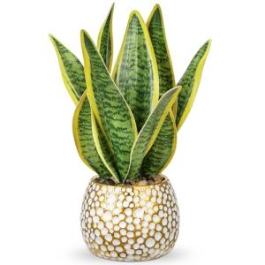Planta artificial Sansevieria de 31 cm en maceta de cerámic…