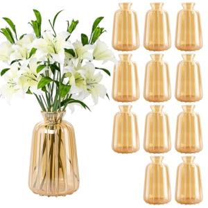 Ezvsevuo 12 Piezas Jarrones para Decoración de Mesa de Boda…