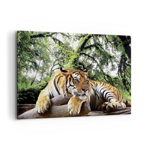 Cuadros Decoracion Salon Tigre Selva Descanso Lienzos decor…