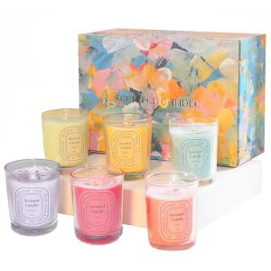 Artisoul Juego de Velas Aromáticas, 6 PCS Aromas Velas de S…