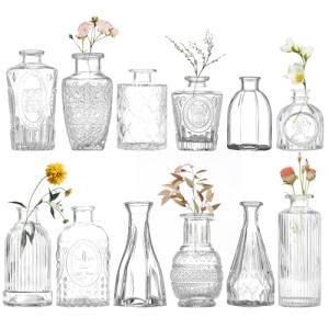 Focenat 12 Mini Jarrones de Cristal, Jarrones para Flores,…