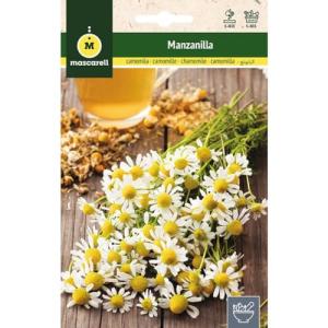 Mascarell Semillas, MANZANILLA, Semillas de Hierbas Aromáti…