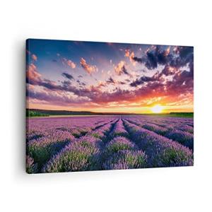 ARTTOR Lienzos decorativos lavanda montañas campo Cuadro So…