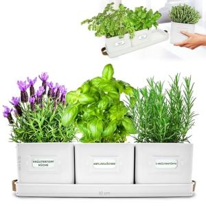 Green Thumbz Macetas Decorativas Interior con Macetero Rect…