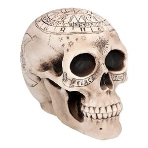 Boland 73081 - Decoración Calavera Esqueleto, 20 cm, figura…