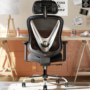 HOLLUDLE Silla de Oficina ergonómica con Soporte Lumbar 3D…