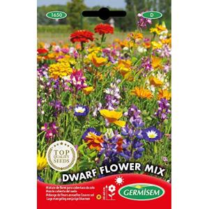 Germisem Dwarf Semillas de Mezcla de Flores 8 g, EC1650