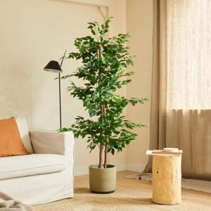 BLAINE | Ficus 150cm |Plantas Artificiales Decorativas |Pla…