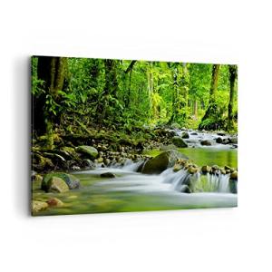 Cuadros Decoracion Salon Stream Bosque Naturaleza Lienzos d…
