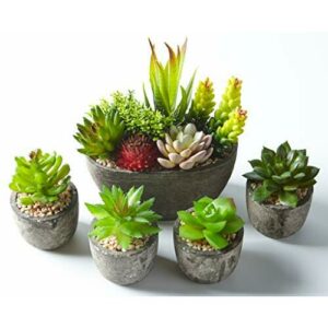 Jobary 5pcs Plantas Suculentas Artificiales Falso Plantas D…