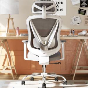 HOLLUDLE Silla de Oficina ergonómica con Soporte Lumbar 3D…