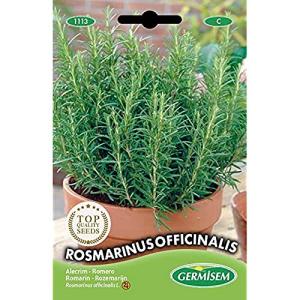 Germisem Rosmarinus Officinalis Semillas de Romero 0.3 g (E…