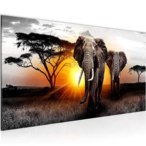 Runa Art Cuadro Decorativo África Elefante 1 Parte Moderno…