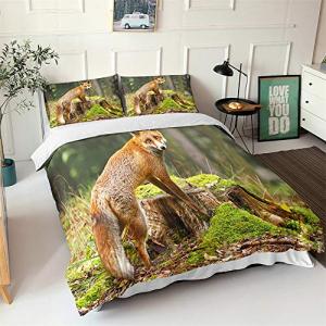 Chickwin Juego de Ropa de Cama 3D, Animal Zorro Estampado J…